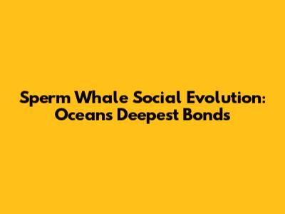 Sperm Whale Social Evolution: Ocean's Deepest Bonds
