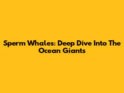 Sperm Whales: Deep Dive Into The Ocean Giants