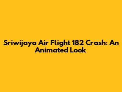 Sriwijaya Air Flight 182 Crash: An Animated Look