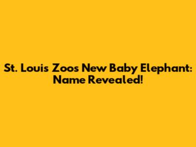St. Louis Zoo's New Baby Elephant: Name Revealed!
