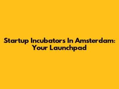 Startup Incubators In Amsterdam: Your Launchpad