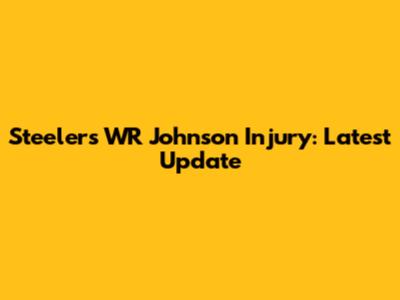 Steelers WR Johnson Injury: Latest Update