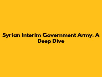 Syrian Interim Government Army: A Deep Dive