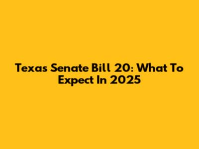 Texas Senate Bill 20: What To Expect In 2025