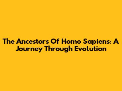 The Ancestors Of Homo Sapiens: A Journey Through Evolution