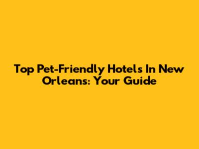 Top Pet-Friendly Hotels In New Orleans: Your Guide