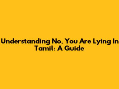 Understanding 'No, You Are Lying' In Tamil: A Guide
