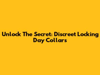 Unlock The Secret: Discreet Locking Day Collars