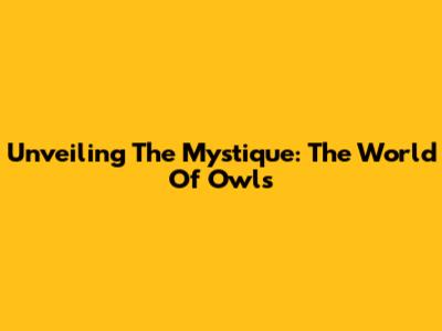 Unveiling The Mystique: The World Of Owls