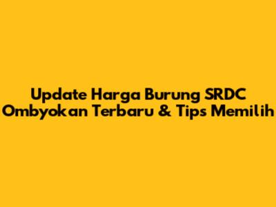 Update Harga Burung SRDC Ombyokan Terbaru & Tips Memilih