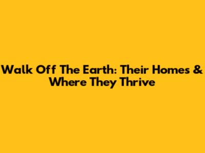 Walk Off The Earth: Their Homes & Where They Thrive