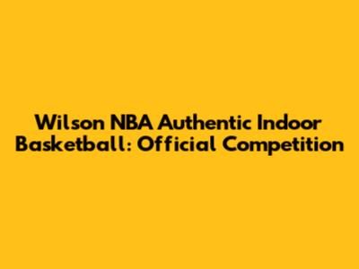 Wilson NBA Authentic Indoor Basketball: Official Competition