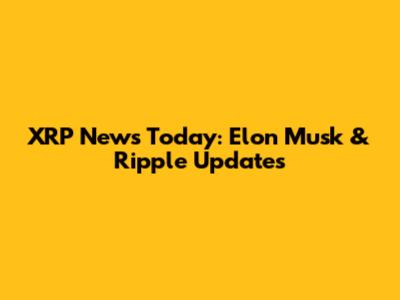 XRP News Today: Elon Musk & Ripple Updates
