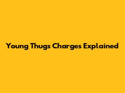 Young Thug's Charges Explained