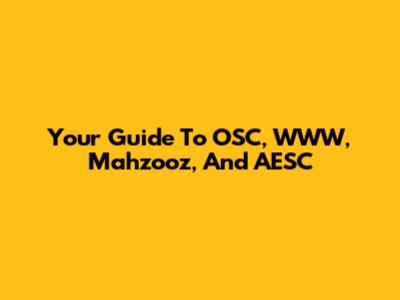 Your Guide To OSC, WWW, Mahzooz, And AESC