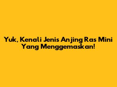 Yuk, Kenali Jenis Anjing Ras Mini Yang Menggemaskan!