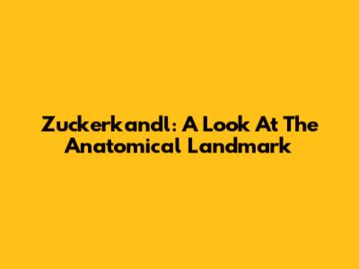 Zuckerkandl: A Look At The Anatomical Landmark